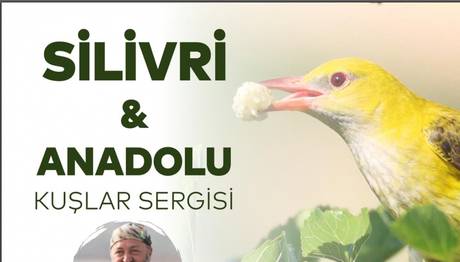 Örnek haber adı gelecek.