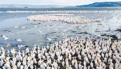Örnek haber adı gelecek.