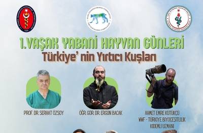 Örnek haber adı gelecek.