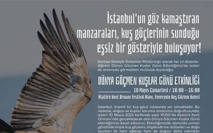 Dünya Göçmen Kuşlar Günü Etkinliği