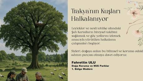 Örnek haber adı gelecek.