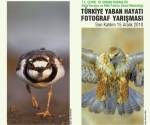   Türkiye Yaban Hayatı Fotoğraf Yarışması'na katılım için son gün...