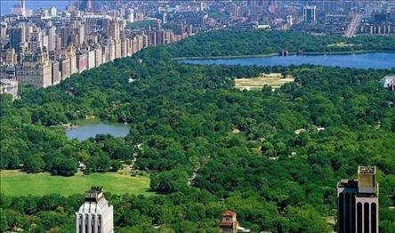 GÖNÜLLÜLER, CENTRAL PARK'TA KUŞ SAYIMI YAPTI 