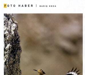 TRAKUŞ ÜYESİ NATIONAL GEOGRAPHIC’DE