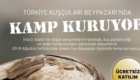 Türkiye Kuşçuları Beypazarı nda Kamp Kuruyor