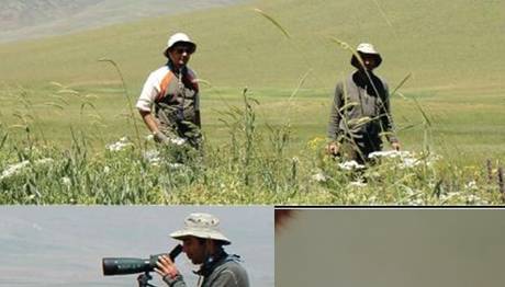 Kuşluk vakti