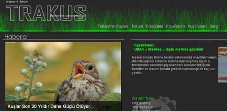 Örnek haber adı gelecek.