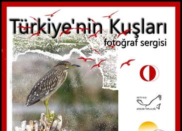 Örnek haber adı gelecek.