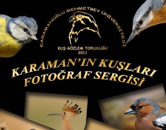 Karaman ın Kuşları...