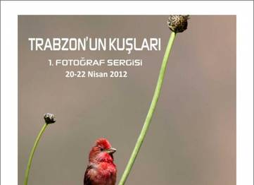TRABZON UN KUŞLARI...