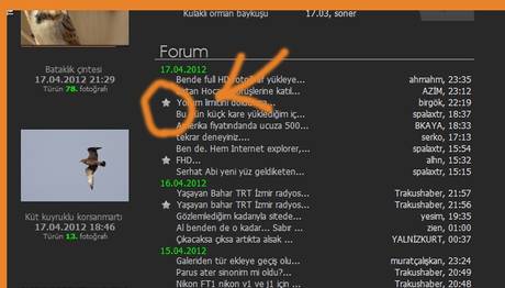 Forumlarda Yıldız...