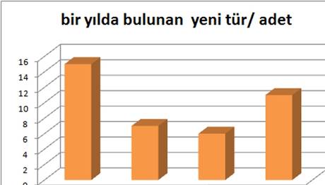 2011 İN KAHRAMANLARI...
