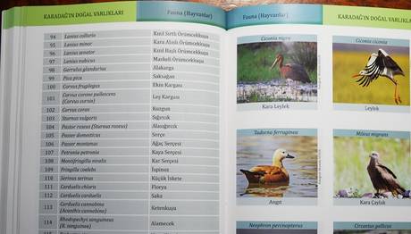KARADAĞIN DOĞAL VE KÜLTÜREL VARLIKLARI 