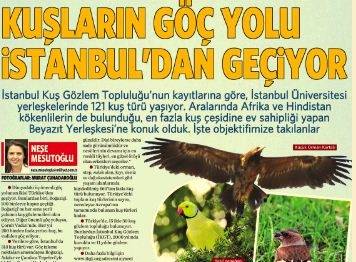 Örnek haber adı gelecek.