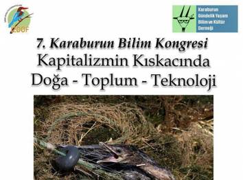 Örnek haber adı gelecek.