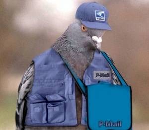 Örnek haber adı gelecek.