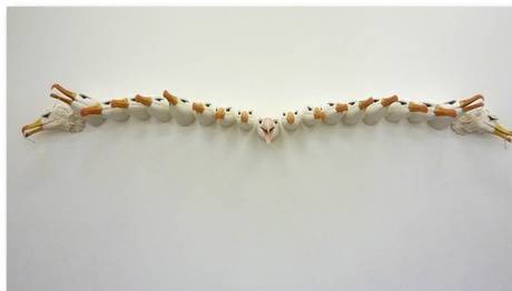  Nesli tükenmiş kuşların hayaletleri