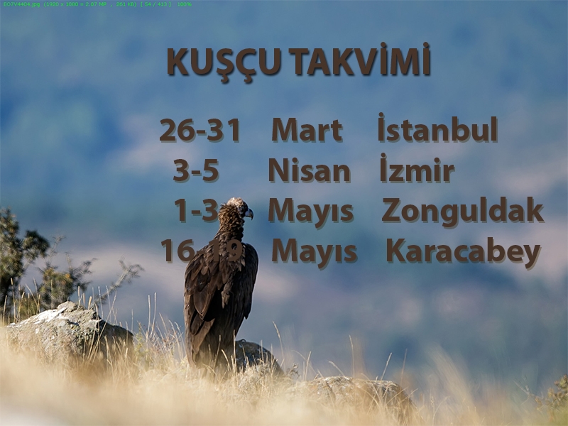 kuscu-takvimi