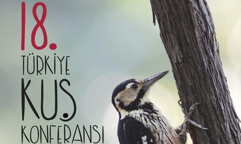 2017-kus-konferansi