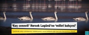hersek-lagunu-ne-millet-bahcesi-yapilacak--turkiye-nin-en-buyugu