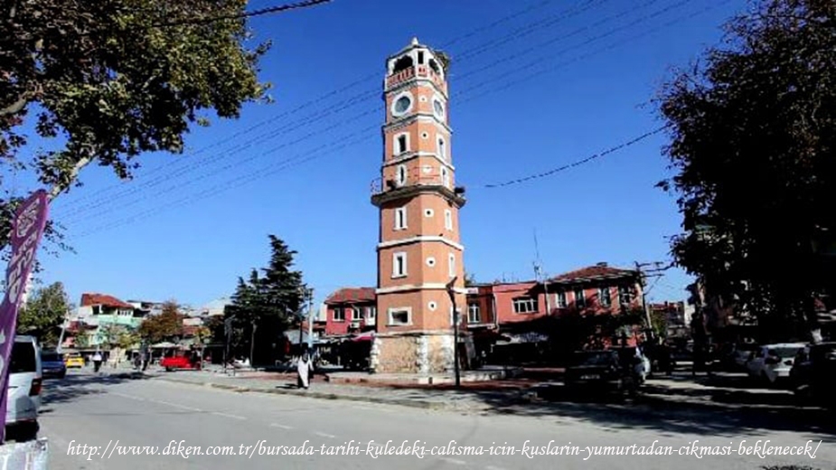 bursada-tarihi-kuledeki-calisma-icin-kuslarin-yumurtadan-cikmasi-beklenecek