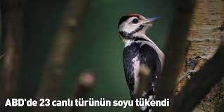 dunya-yokolus-krizinde-abdde-23-turun-soyu-tukendi