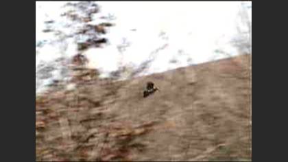 Çulluk