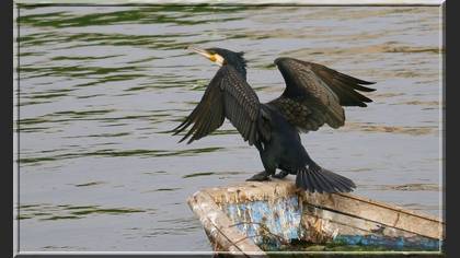 Karabatak