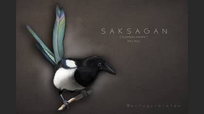 Saksağan