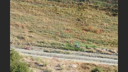 Kınalı keklik » Chukar Partridge » Alectoris chukar