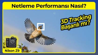 Nikon Z9 AF Performansı 2