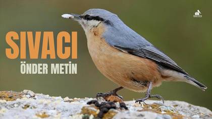  SIVACI - ILGIN KONYA
