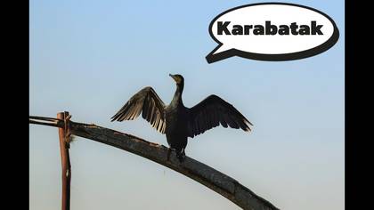 Karabatak video