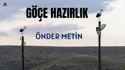 Leylek