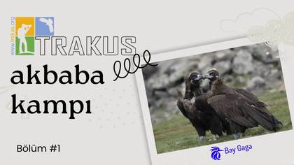 TRAKUS Akbaba Kampı 1. Gün