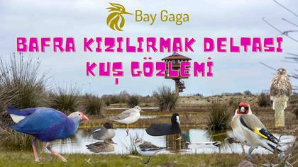 Kızılırmak Gözlemi