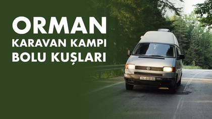 Ağustos Bolu Kampı