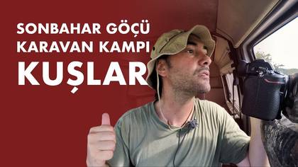 Ormanlı kampı