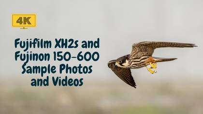Fuji Xh2s Foto ve Videolar