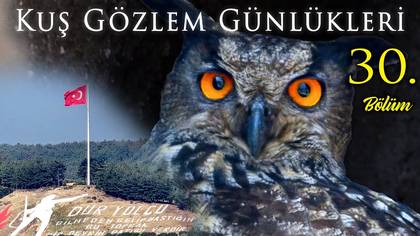 Kuş Gözlem Günlükleri - 30