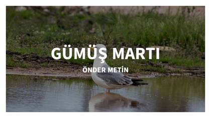 GÜMÜŞ MARTI
