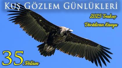 Trakuş Akbaba Kampı