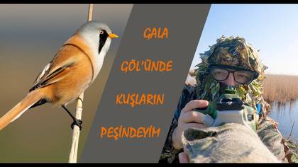 Gala Gölünde Kuş Peşindeyim