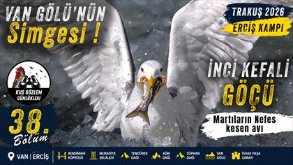 Trakuş 2026 Van Erciş Kampı 