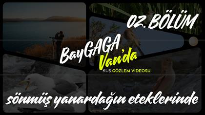  VAN'DA KUŞ GÖZLEMİ (Vlog #2)