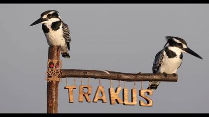 Tuzla Trakus Kampı 