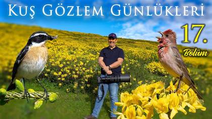 Kuş Gözlem Günlükleri - 17
